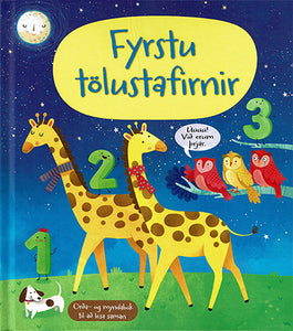 Fyrstu tölustafirnir