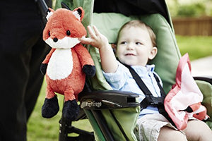 Frankie The Fox