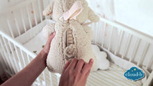 Load image into Gallery viewer, Sleep Sheep
