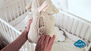 Sleep Sheep