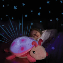 Load image into Gallery viewer, Twilight Ladybug