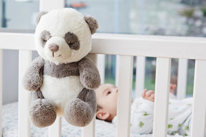 Peaceful Panda