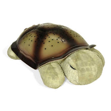 Load image into Gallery viewer, Twilight Turtle