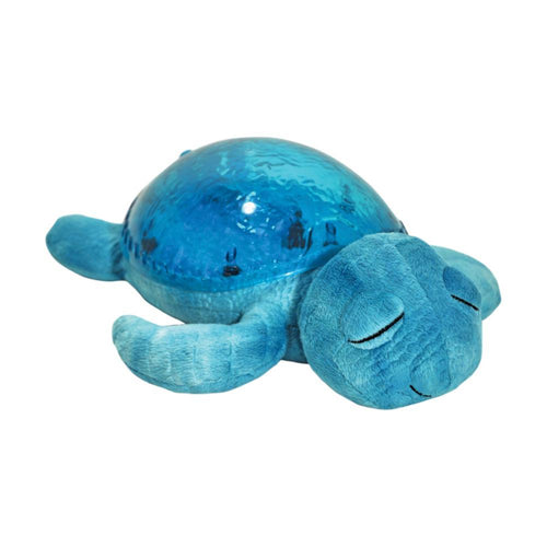 Tranquil Turtle