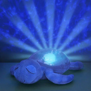 ﻿Tranquil Turtle