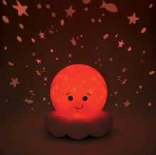Load image into Gallery viewer, Twinkles To Go Octo