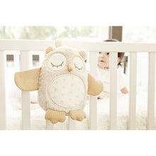 Load image into Gallery viewer, Nighty Night Owl Smart Sensor