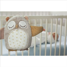Load image into Gallery viewer, Nighty Night Owl Smart Sensor