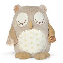 Load image into Gallery viewer, Nighty Night Owl Smart Sensor